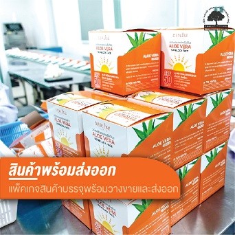 lionnuslab-05