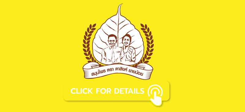 gif-logo-lionnus4