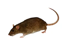 iTopPlus875875378357