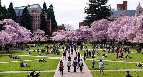 University-of-washington-USA