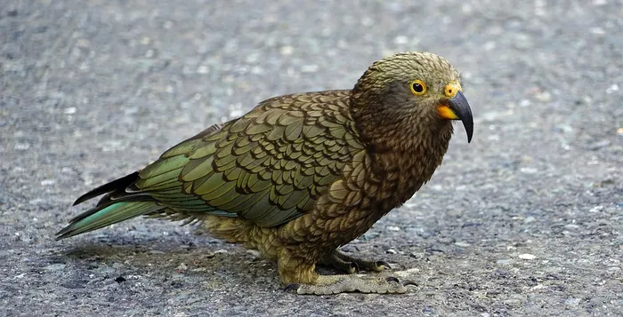 iTopPlus180709028049