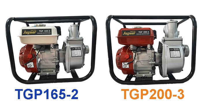 TGP