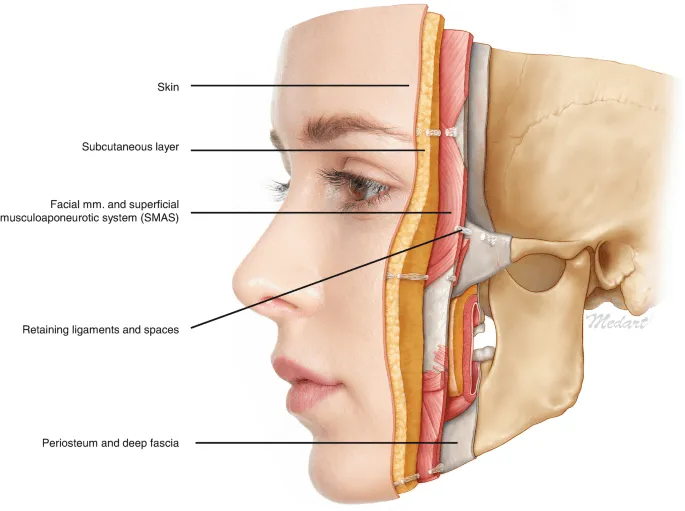 facial-layer