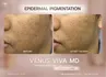 venusviva-web-06