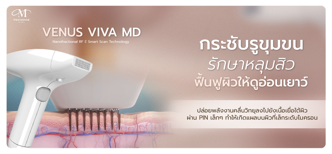 venusviva-web-01