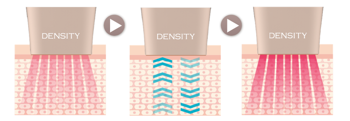 webdensity-09