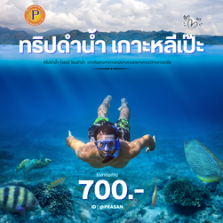 ดำน้ำ