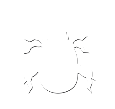 iTopPlus1502032196238
