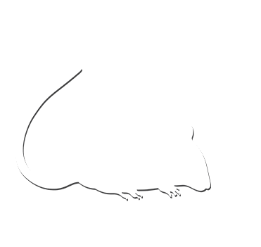 iTopPlus44271431786