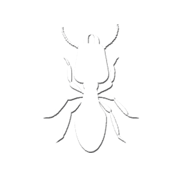 iTopPlus541371096262