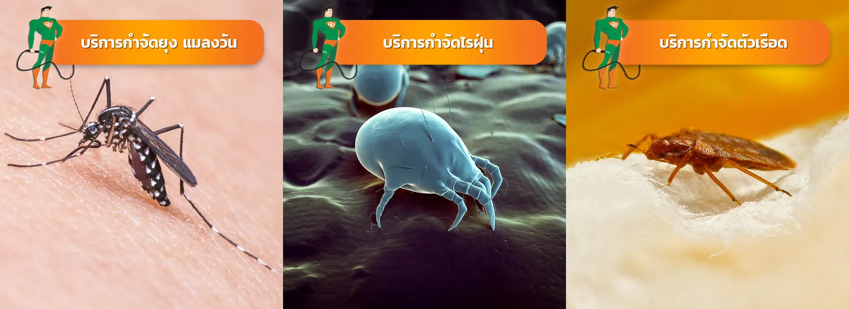 iTopPlus941903596950