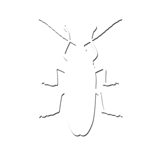 iTopPlus1495794306906