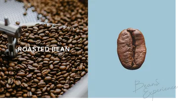 BEAN01