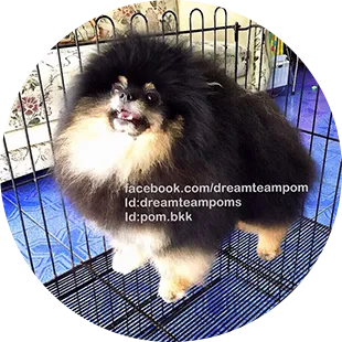 iTopPlus1013364309932