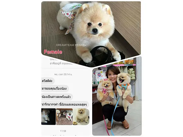 iTopPlus1055600468140