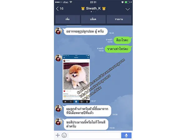 iTopPlus842473365846