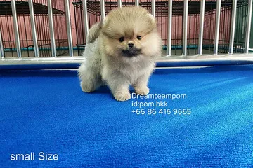 iTopPlus1051701997561