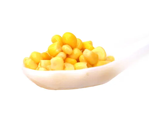iTopPlus1172423860900