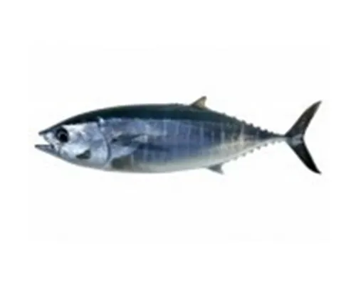 iTopPlus340470775698
