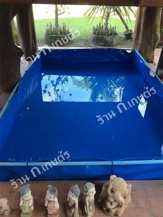 iTopPlus529049771557