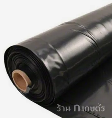 iTopPlus1305542501393