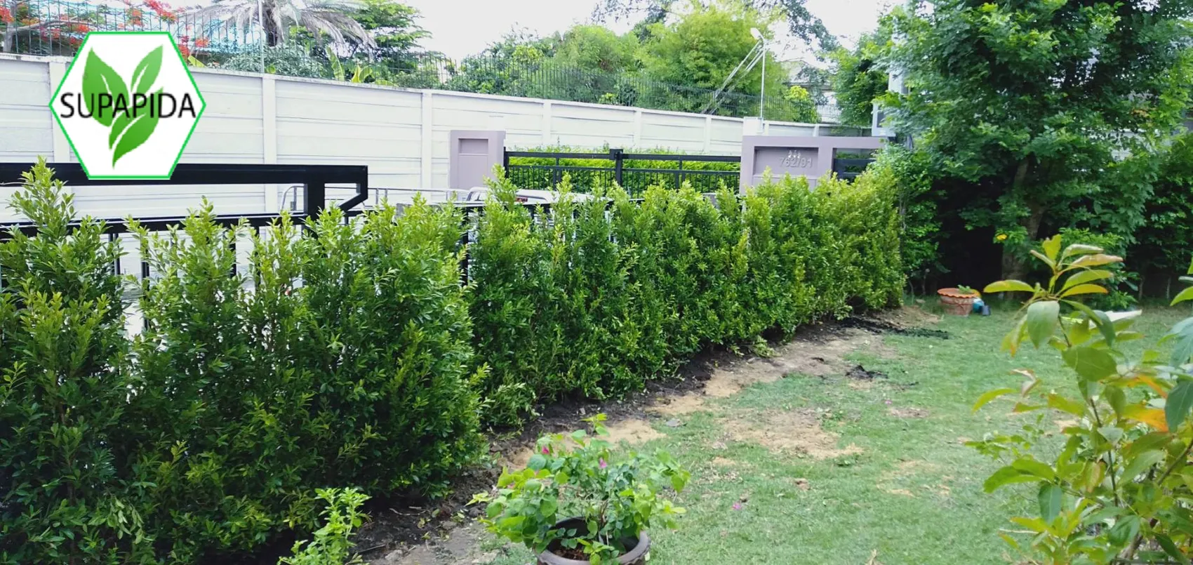 Photo1593182284446