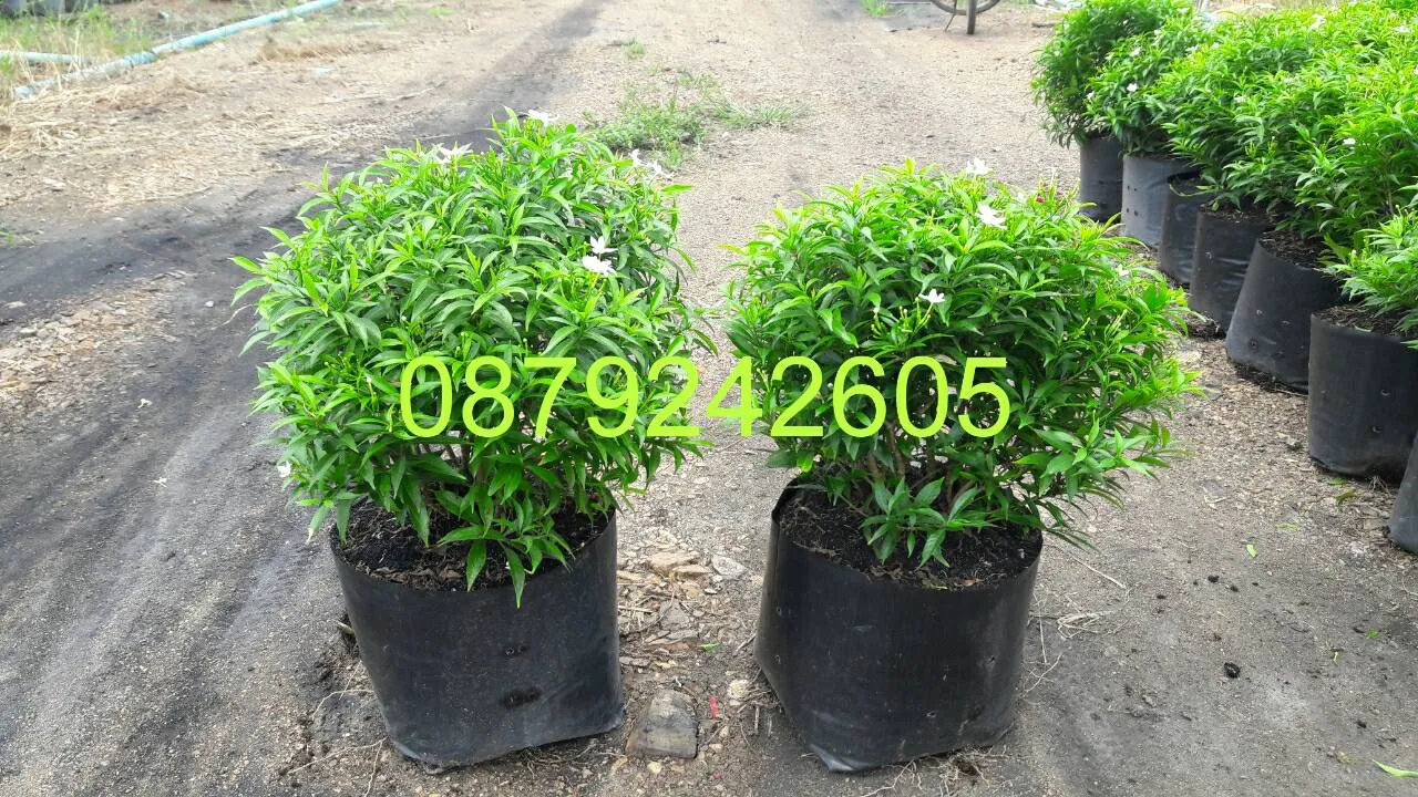 iTopPlus501331581759