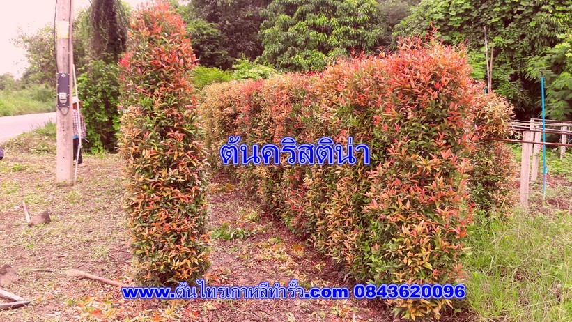 iTopPlus14115644562