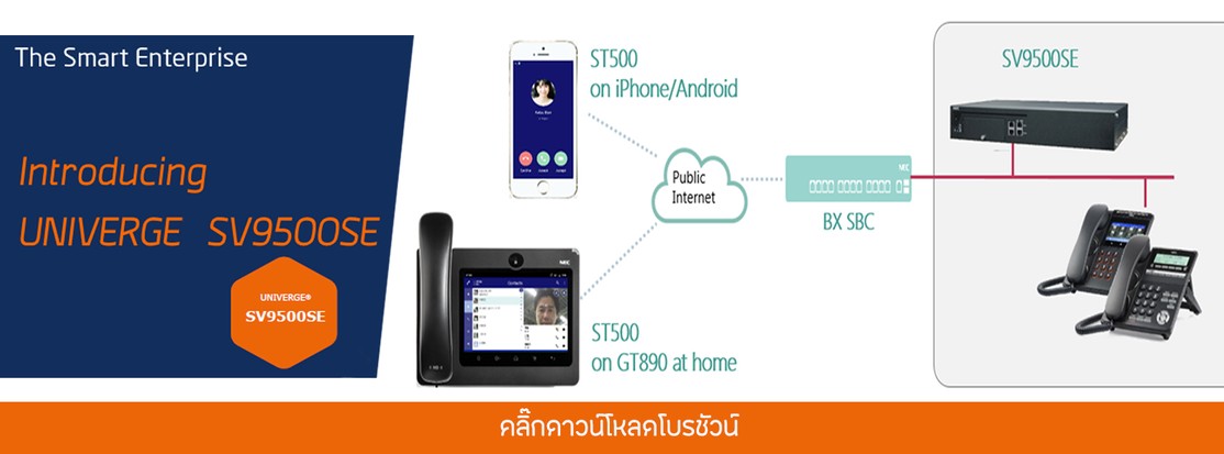 cpjweb112