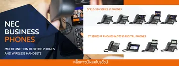 cpjweb113