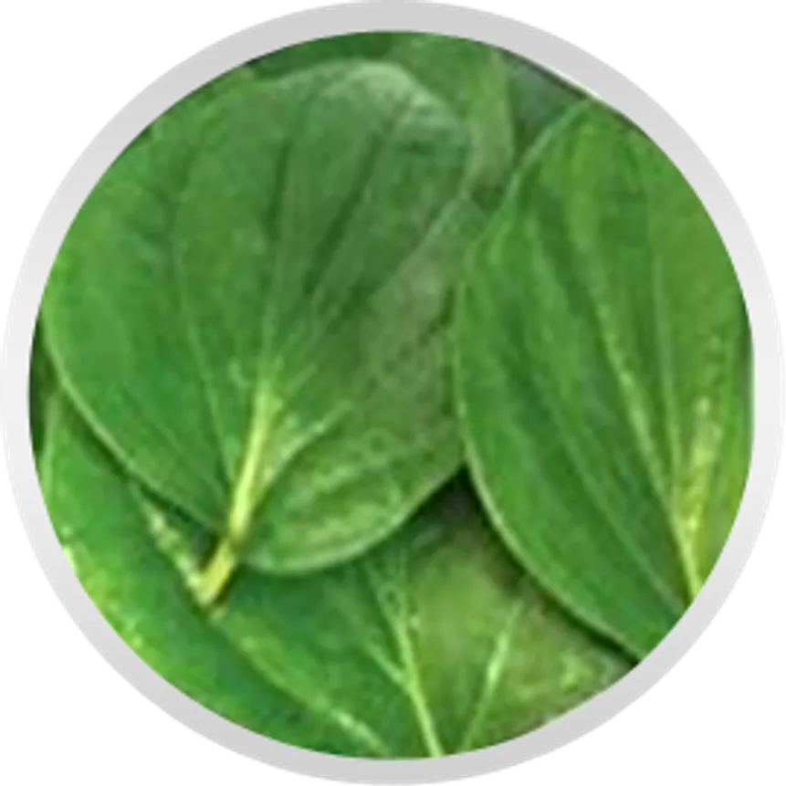 iTopPlus137092818959