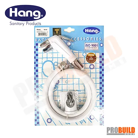 HANGSS-02