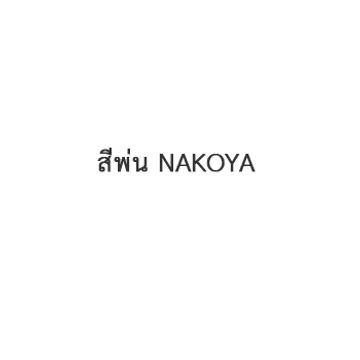 สีพี่NAKOYA