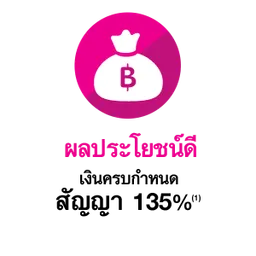 iTopPlus1009613036751