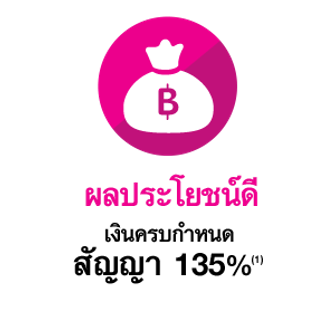 iTopPlus257702863312