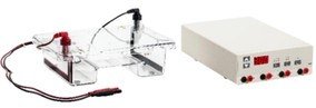 Eelectrophoresis2