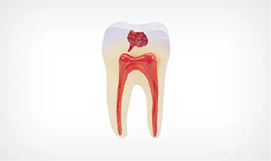 iTopPlus128393892509
