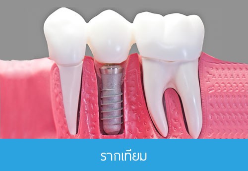 iTopPlus559287812644