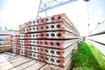 iTopPlus1310046468890