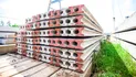 iTopPlus313708106971
