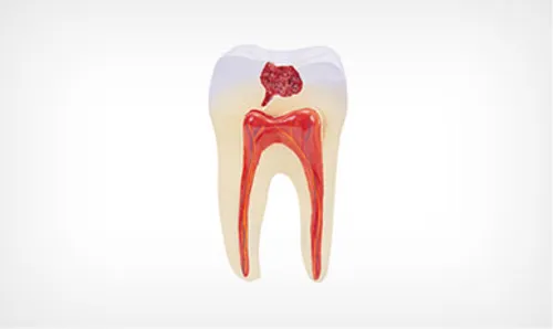 iTopPlus1366800561560