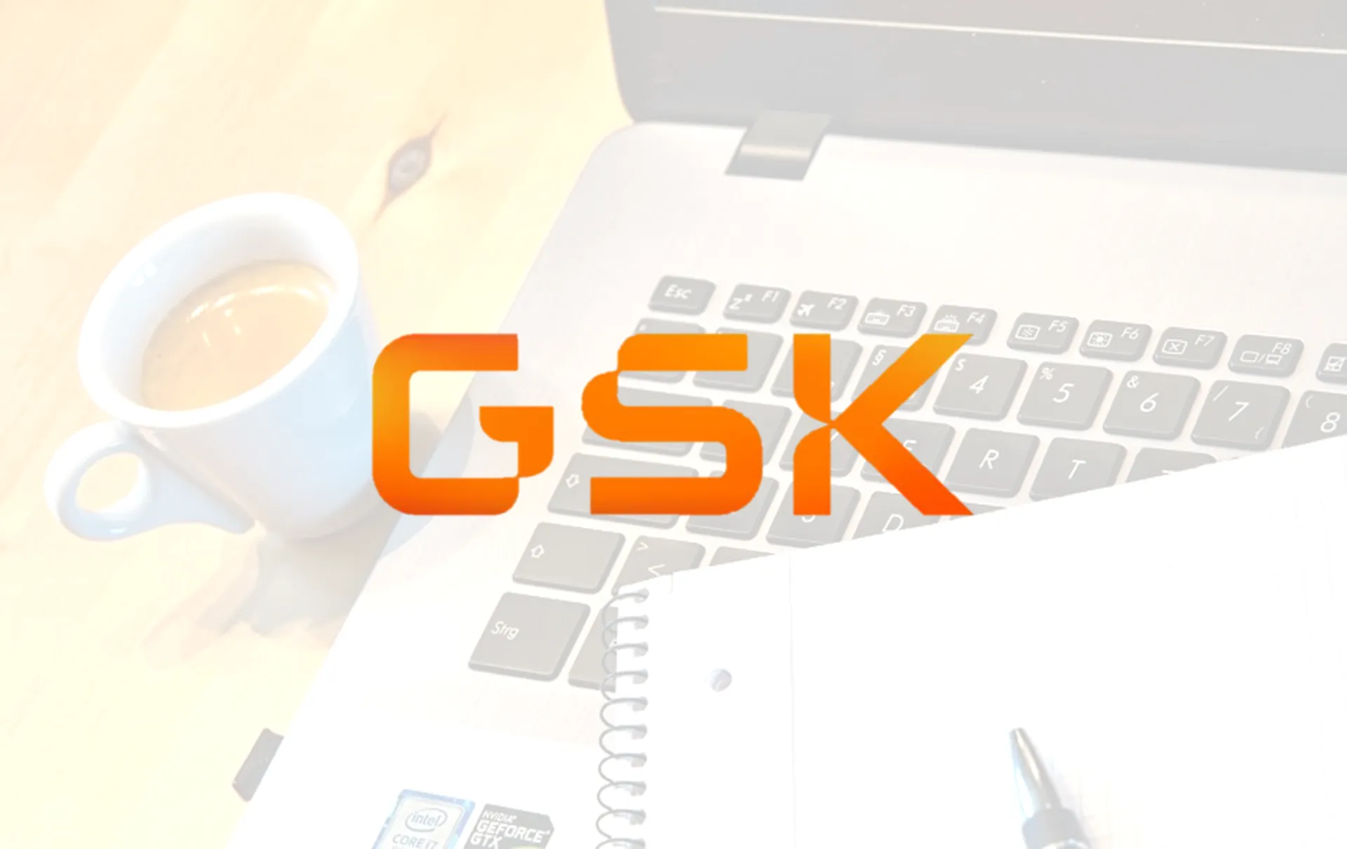 GSK9