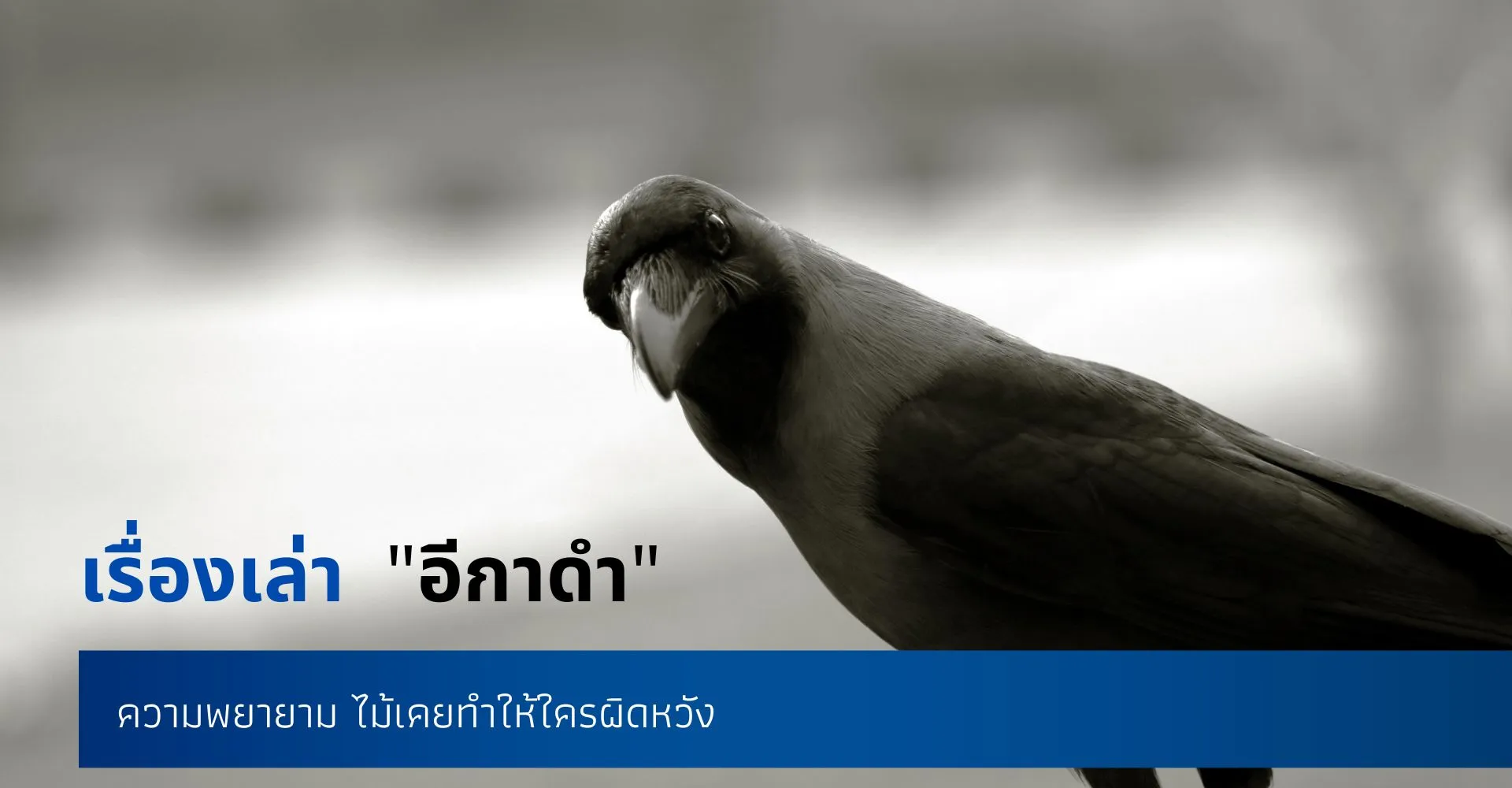 NewFSEGตัวแทนไทยประกันชีวิต(1920×800px)(6)
