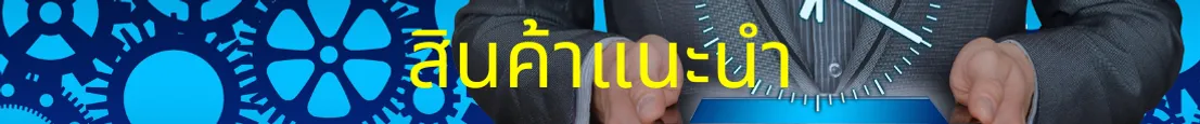 สินค้าแนะนำ