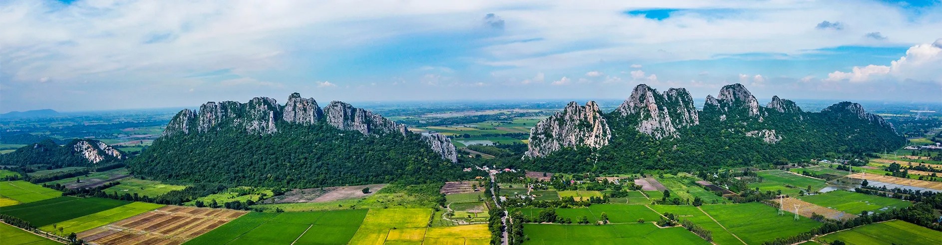 แบนเนอร์-6