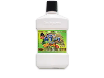 KT-1copy