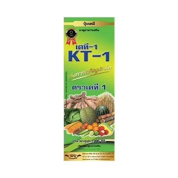 KT1