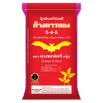 ค้างคาวทอง345Copy