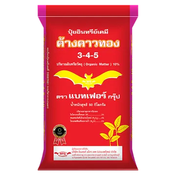 ค้างคาวทอง345