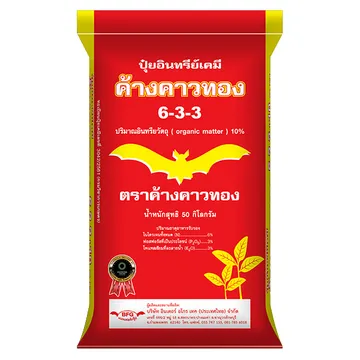 ค้างคาวทอง633copy